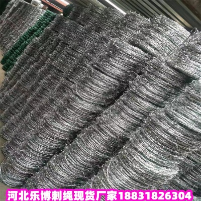 ������\���K�S�� ��̶���̇��� ��ꖲݾGɫ�̾�