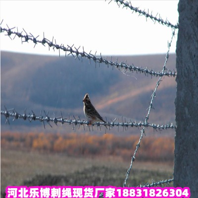 ������\���K�S�� ���l����\䓽z�W ��ꖟ���\���F�z