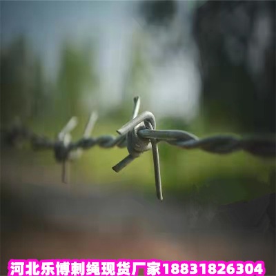 �_����\���K�S�� ���|�F�z�W���� ���m�F�̾W