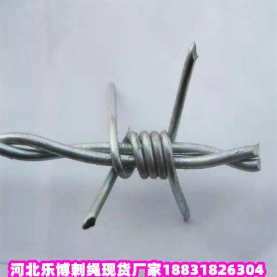 ������\���K�S�� �ܘ�2.5����С�^���^���I�W