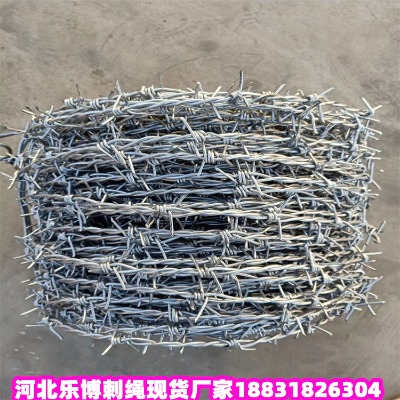 ������\���K�S�� ���m5�����F��޼�����̾W(w��ng)