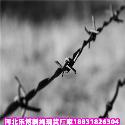 �|����\���K�S��  ���J�u7���ﲻ�P��F��޼