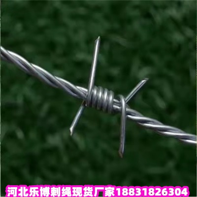 �|����\���K�S�� �߷���6���ﰲȫ���o�F��޼