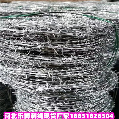 ���ɹ���\���K�S�� ͨ�|5������܎����F�z�W