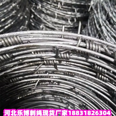 �����\���K�S�� ����2.5���׷��I�F�z�̾W