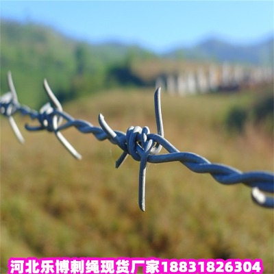 ������\���K�S�� ���10������\䓽z�W