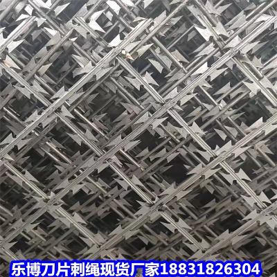 �F����\���K�S�� ���2.5���ׇ������o�W