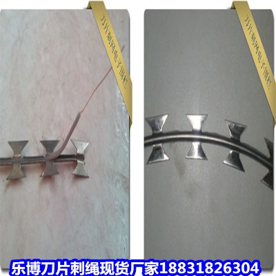 �F����\���K�S�� ����5������I�̎� �~��6������I�̝L�\