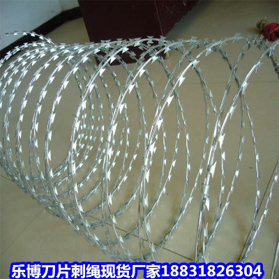 �V����\���K�S�� ����12̖��\���P���I�W(w��ng)