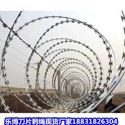 �V�|��\���K�S�� ꖴ�12̖�C����Ƭ�̽z�L�\