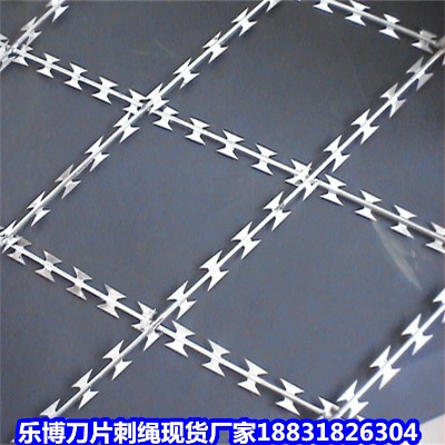 ������\���K�S�� ����12̖���o���x�̾W