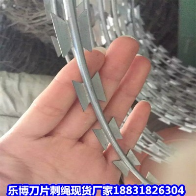 ������\���K�S�� ����12̖�����WУС�^(q��)���I�W(w��ng)