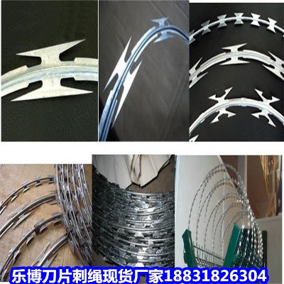 ɽ�|��\���K�S�� ����14̖��\��Ƭ�̾W