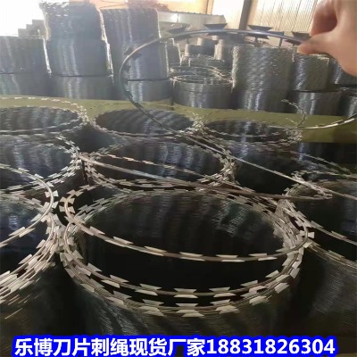 �½���\���K�S�� ������2.5������\��Ƭ�̽z