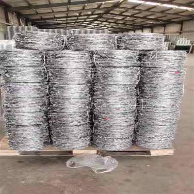 �ӱ�����\���K�F؛�S���F���F�z�W�������x�д��F�z�W