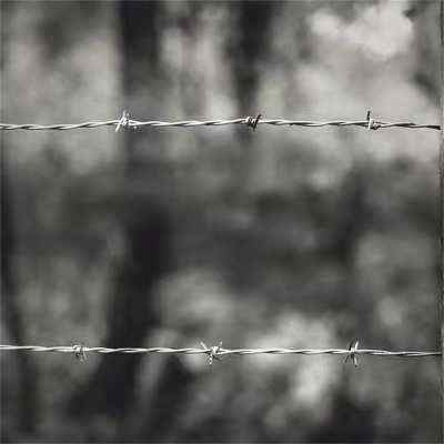 �ӱ�����\���K�F(xi��n)؛�S�ҏV�����x�o(h��)�ھW(w��ng)