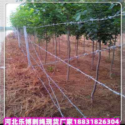 ��ƽ����\���K�F؛�S��ɽ�����F�z���I�W�R��С�^���^���I�W