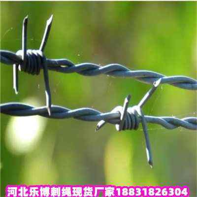 ��ƽ����\���K�F(xi��n)؛�S���|���F��޼�����̾W(w��ng)������I�F�z�̾W(w��ng)