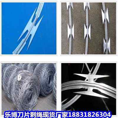 �ӱ�����\��Ƭ���K�F(xi��n)؛�S���㽭�O(ji��n)�z�o(h��)�ڜ��ݷ��o(h��)�W(w��ng)