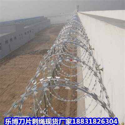 �ӱ�����\��Ƭ���K�F(xi��n)؛�S�Ҽ��֟���\��Ƭ�̾W(w��ng)�ԺӴ̽z�L�\