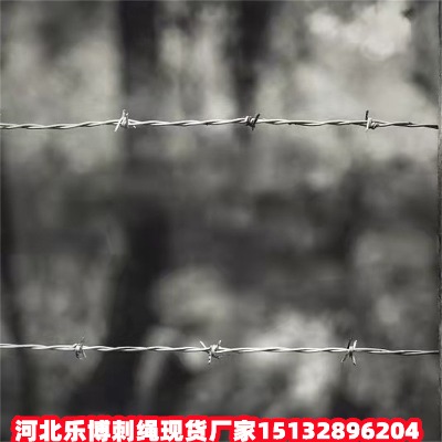 �ӱ�����\���K�F(xi��n)؛�S�Һӱ��F���F�z�W(w��ng)����䓽z���K