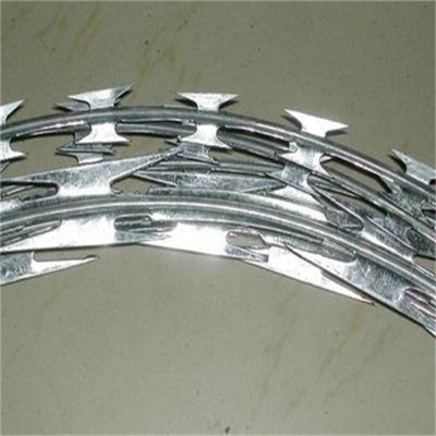 ������\��Ƭ���K�S��8����������o(h��)�W(w��ng)��������(y��ng)