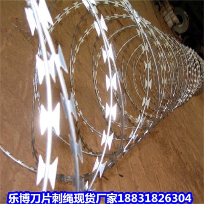 ������\��Ƭ���K�S��9��������ژ�������