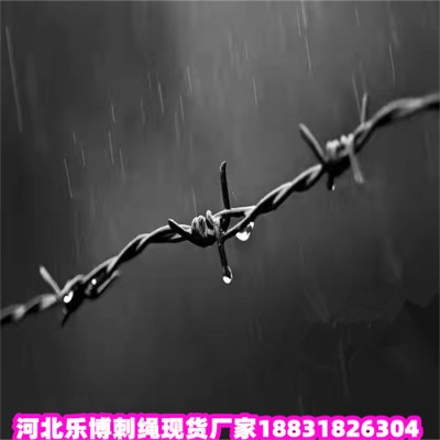 �㽭��\���K�S��9������F�z��������