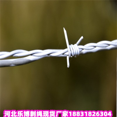 ɽ�|��\���K�S��2.8���ײ��P�䓽z�W��������