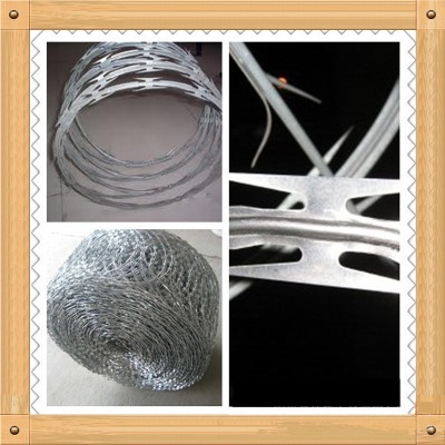 �Lɳ��\��Ƭ�̽z�L�\�S�����ݷ��I��