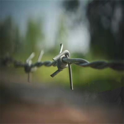 ������\�F��޼�S�����ϴ̾����F�z������·�̾W(w��ng)