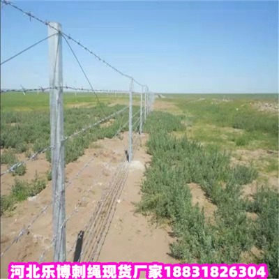 ɽ����\���K�S��12̖�z�����F�������F؛����