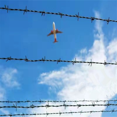 ������\�F��޼�S���Ͳ����ٹ�·�F�z�W���f���ٹ�·䓽z�W