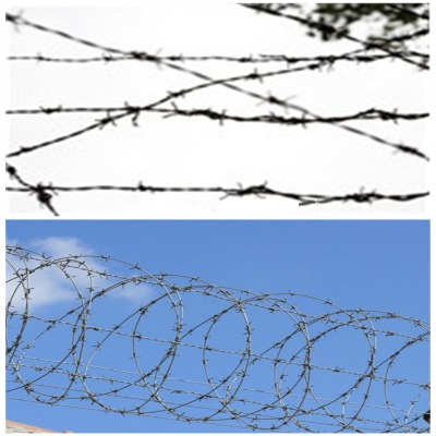 �����\�F��޼�S�ҳ�ꖎ���䓽z�W���J�u���I�����W