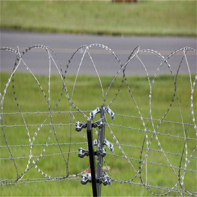 �|����\��Ƭ���K�S���ӑc���F�̽z�L�\ͨ�ݴ̵�Ȧ