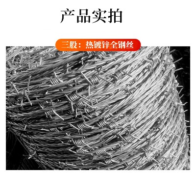 ���ɹŵ�·�B(y��ng)�o�����F�z�W������