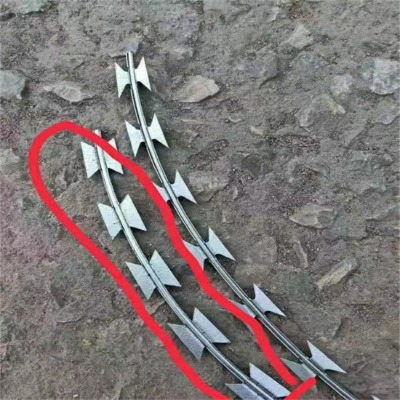 �����̽z�L�\�S�ҹ��������̽z�L�\�������̾W