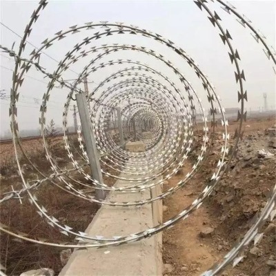 �ӱ���\�̽z�L�\�S�ҹ�����\��Ƭ�̽z��\��Ƭ�̽z�L�\