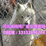 �Ĵ����\������W(w��ng)�ɶ�10x10���׹����W(w��ng)�S��