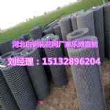 ���ݰ��܈���WƬ�㽭��̼䓽z�i���W�S��