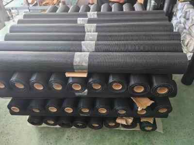 304���|(zh��)0.19���״�20Ŀ�z�l����W(w��ng)�Ӻ���ü��W(w��ng)