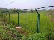 ��ֲ���Bֳ���o���F�z�W���ھW��0.5-2.5m