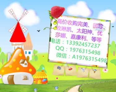 ȫ����Ҏ(gu��)ģ�߃r��ُ�o�ޘOõ�ՄP�a(ch��n)Ʒ