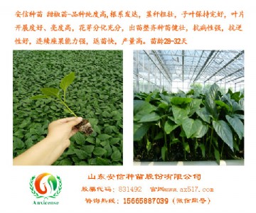 ɽ�|���繩��(y��ng)��  ���ŷN��a(ch��n)���߿����� ���Ĳ�ُ