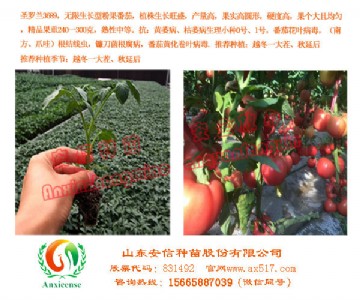 �R�����ӷ�����  �߮a�������x���ŷN��