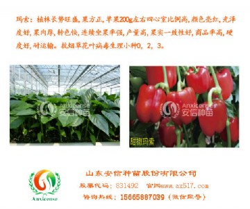 �ӱ������ُ�����ŷN�������Ĳ���֮�x