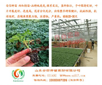 ���K���������l�Ұ��ŷN�� ֵ���őеķ�����S��