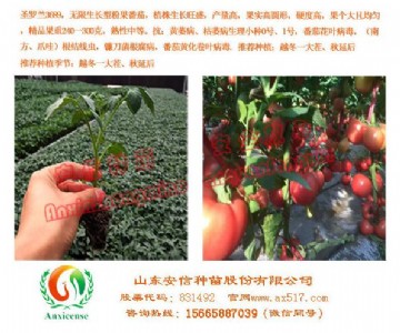 �|����Ʒ�۹������÷�����  ���ŷN��ֵ����ه