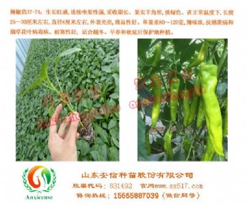 �ӱ�������������l�����ŷN�簲ȫ���ģ�