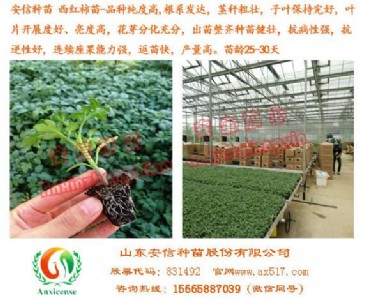 �|��Խ���������Ұ��ŷN�磬ֵ���őеķ�����S��